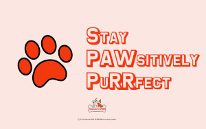 Stay Pawsitively Purrfect