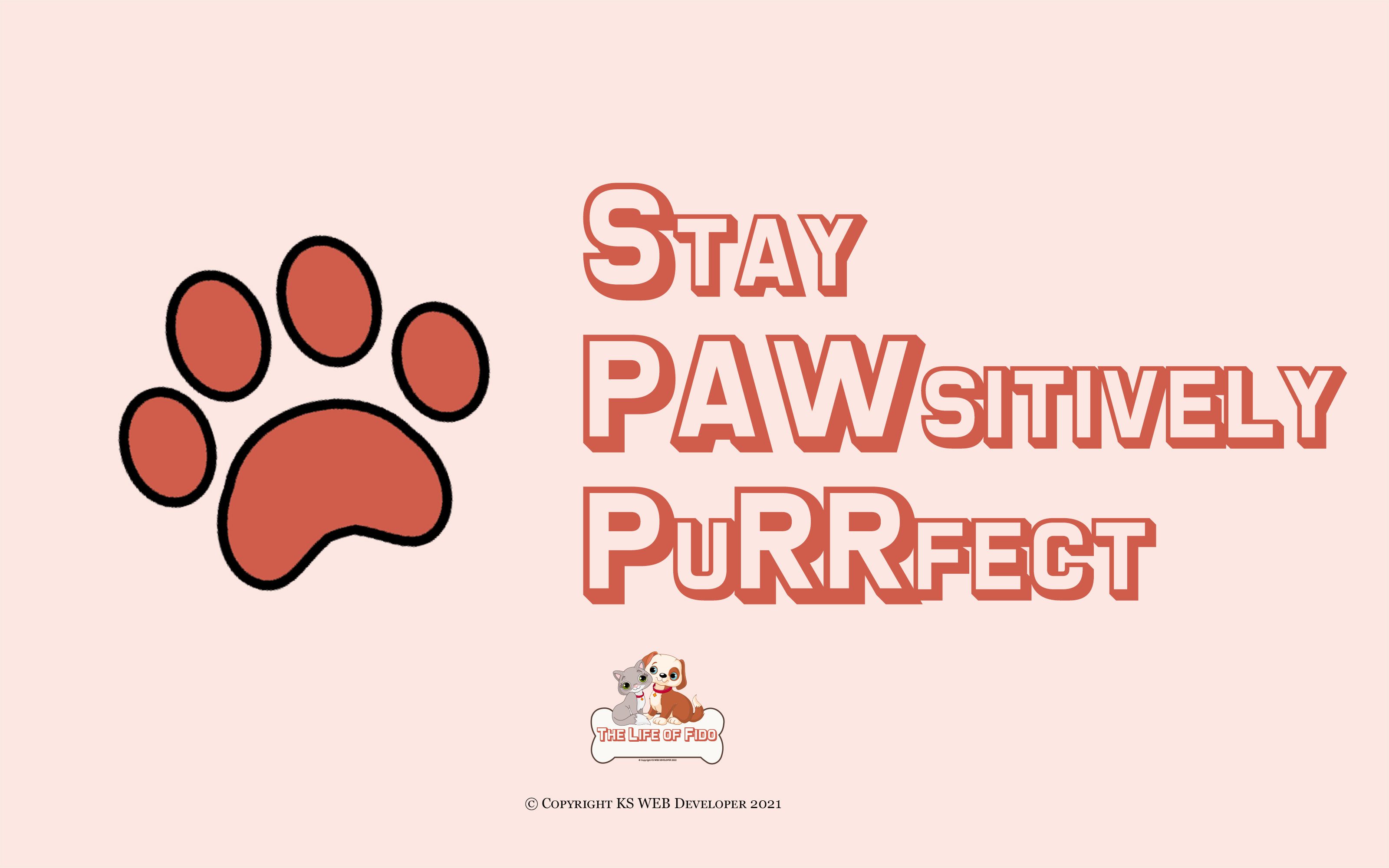 Stay Pawsitively Purrfect Banner Image