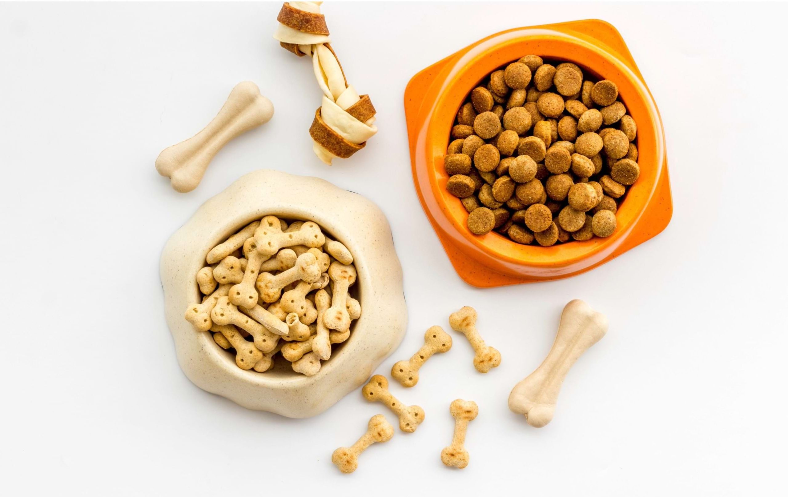 Pet food bowl with food